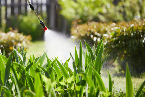 Tamper-Resistant Bait Stations for Rodents in Tipp City