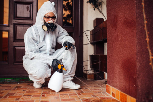 Attic and Crawl Space Rodent Treatment in Tipp City