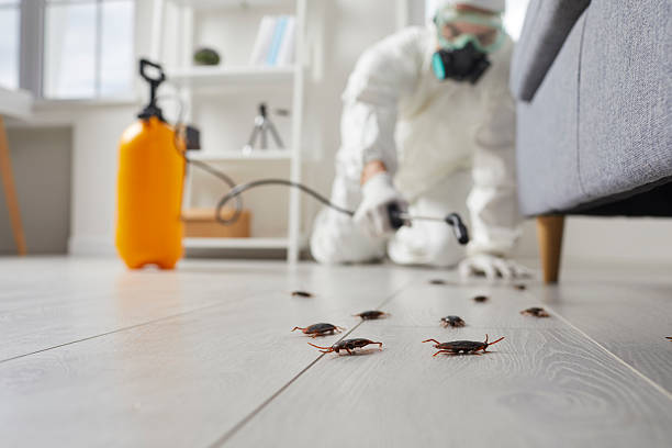 Commercial Rodent Management in Tipp City